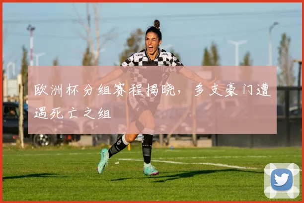 欧洲杯分组赛程揭晓,多支豪门遭遇死亡之组